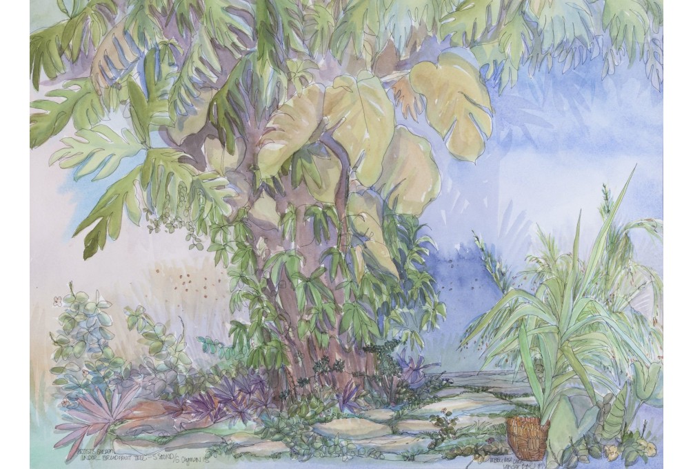 Tropical Visions Exhibition Opens to the Public